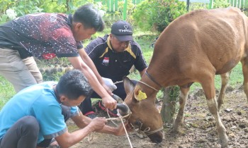 PELAKSANAAN HARI RAYA IDUL ADHA 1444 H DI SMA NEGERI 2 SEBULU